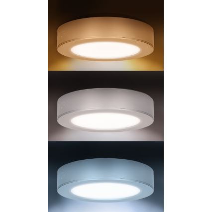 Panel LED natynkowy/wpuszczany 2w1 LED/12W/230V 3000/4000/6000K śr.17 cm IP54 srebrny