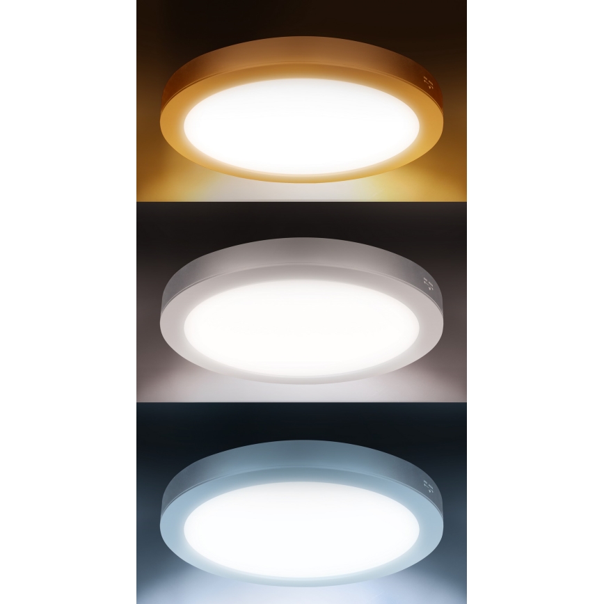 Panel LED natynkowy/wpuszczany 2 w 1 18W/230V 3000/4000/6000K Ø22,5 cm IP54 biały