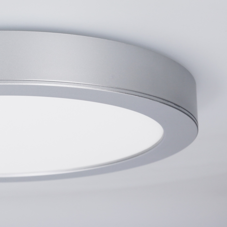 LED panel przysufitowy/podwieszany 2w1 24W/230V 3000/4000/6000K śr. 30 cm IP54 srebrny