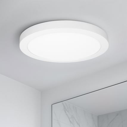 Panel LED natynkowy/wpuszczany 2 w 1 24W/230V 3000/4000/6000K śr. 30 cm IP54 biały