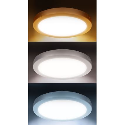 Panel LED natynkowy/wpuszczany 2 w 1 24W/230V 3000/4000/6000K śr. 30 cm IP54 biały
