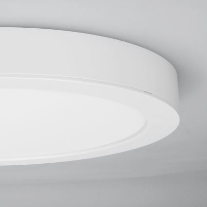 Panel LED natynkowy/wpuszczany 2 w 1 24W/230V 3000/4000/6000K śr. 30 cm IP54 biały