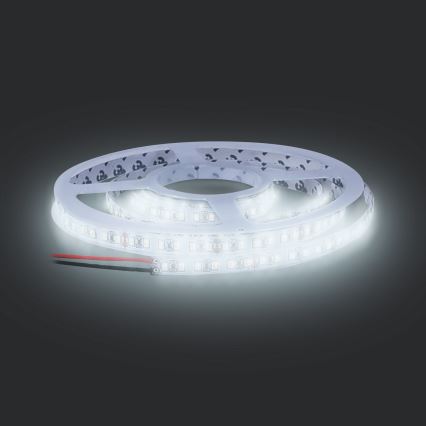 Taśma LED LED/50W/12V 5m zimna biel