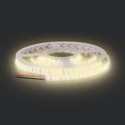 LED Taśma LED/50W/12V 5m ciepła biel