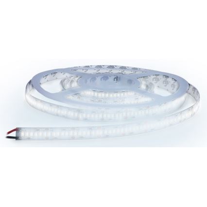 LED Taśma LED/80W/12V 5m zimna biel