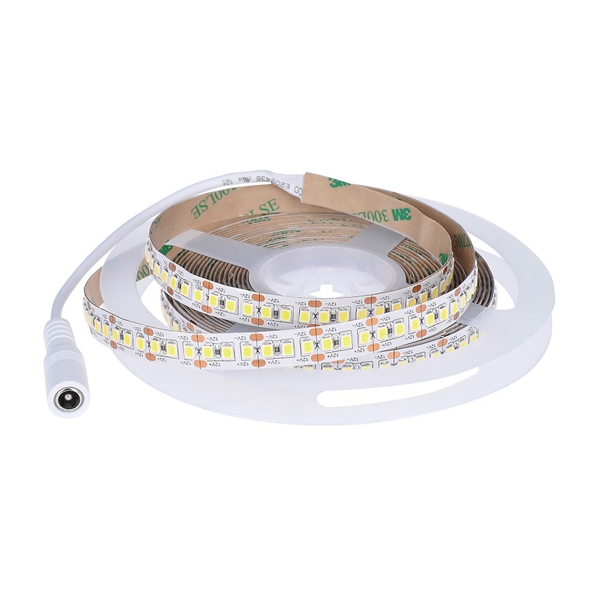 LED Taśma LED/80W/12V 5m zimna biel