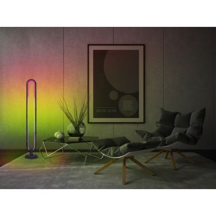 LED RGB Ściemniana lampa podłogowa RAINBOW LED/20W/230V Wi-Fi Tuya + pilot