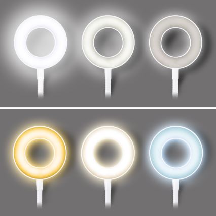 LED Ściemniana lampka biurkowa z klipsem LED/8W/230V 3000/4000/5000K biała