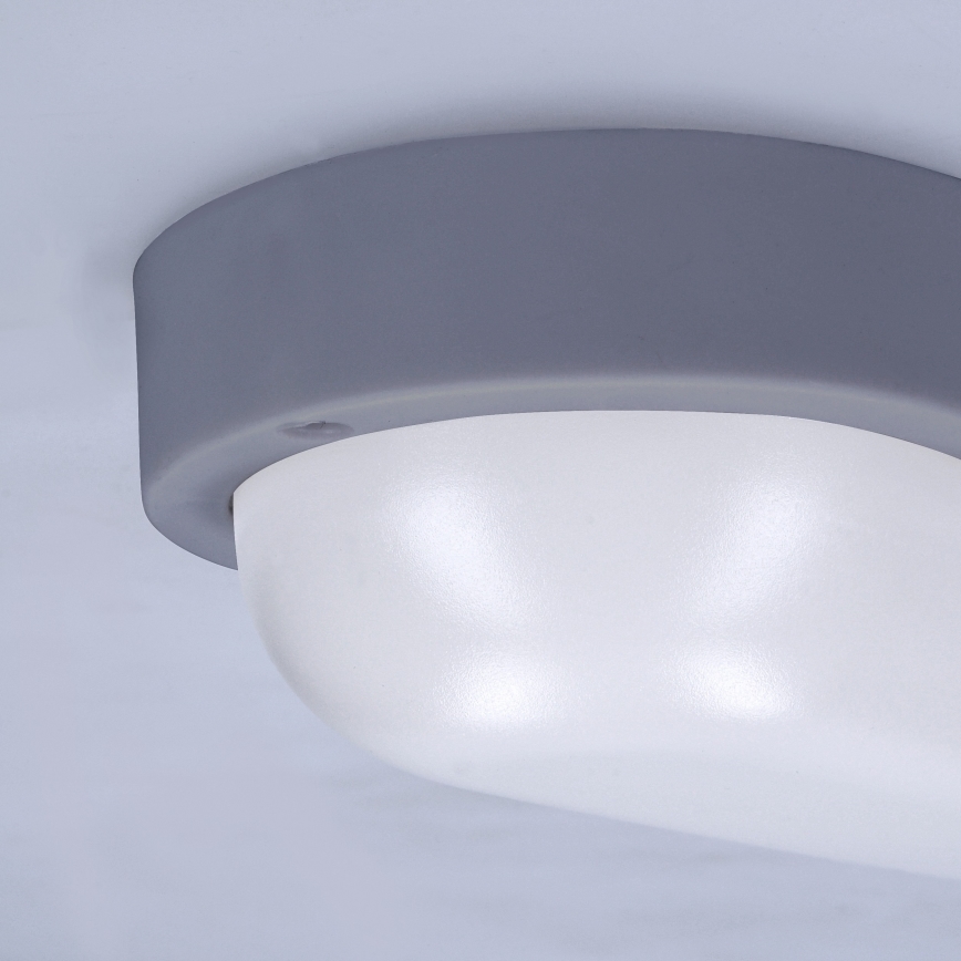 LED Kinkiet zewnętrzny LED/13W/230V 4000K IP54 szary elipsa