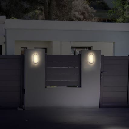 LED Kinkiet zewnętrzny LED/20W/230V 4000K IP54 szary elipsa