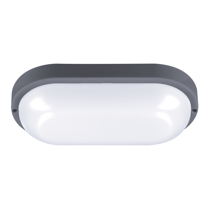 LED Kinkiet zewnętrzny LED/20W/230V 4000K IP54 szary elipsa