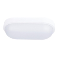 Solight WO749 - LED Plafon zewnętrzny LED/20W/230V IP54