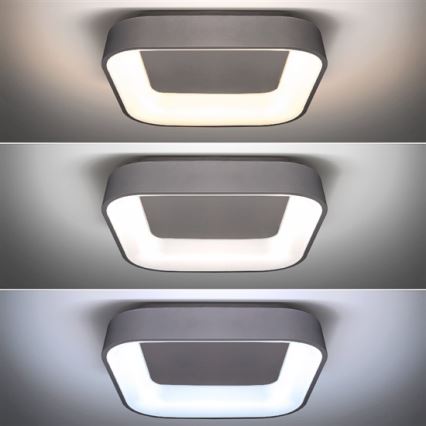 LED Regulowane oświetlenie sufitowe TREVISO LED/48W/230V + pilot do zdalnego sterowania