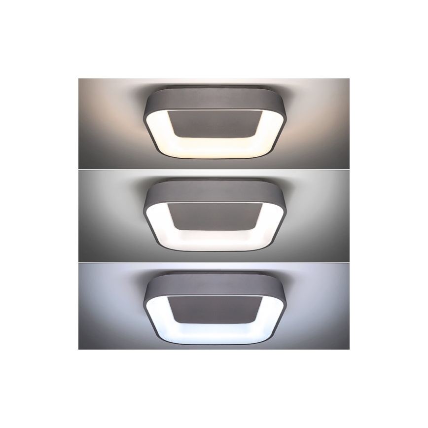 LED Regulowane oświetlenie sufitowe TREVISO LED/48W/230V + pilot do zdalnego sterowania