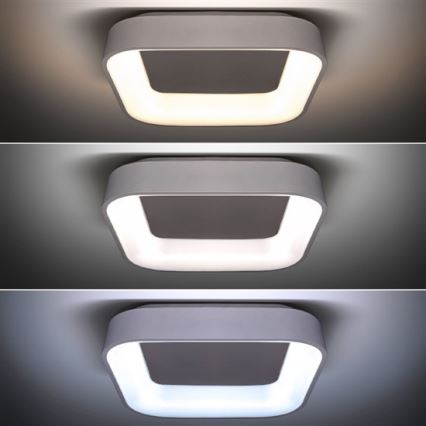 LED Plafon ściemnialny LED/48W/230V + zdalne sterowanie