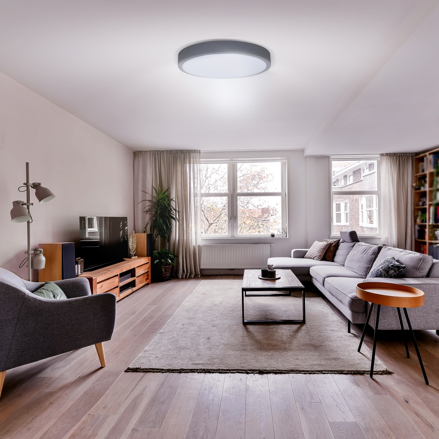 LED Plafon ściemnialny GREY LED/60W/230V 3000-6500K szary śr. 49 cm + pilot zdalnego sterowania