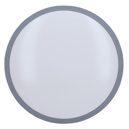 LED Plafon ściemnialny GREY LED/60W/230V 3000-6500K szary śr. 49 cm + pilot zdalnego sterowania