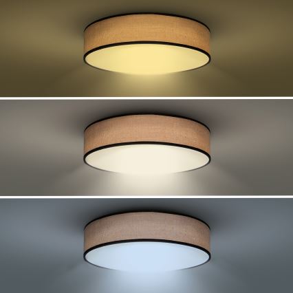 LED Plafon ściemnialny BROWNIE LED/48W/230V 3000-6500K brązowy śr. 40 cm + pilot zdalnego sterowania