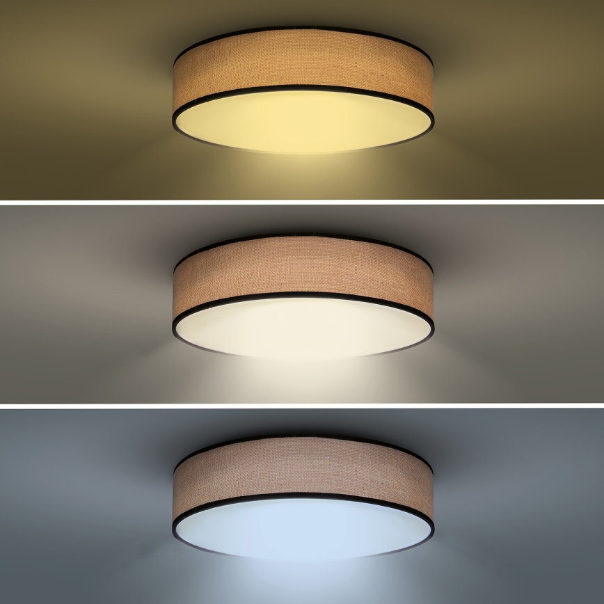 LED Plafon ściemnialny BROWNIE LED/48W/230V 3000-6500K brązowy śr. 40 cm + pilot zdalnego sterowania