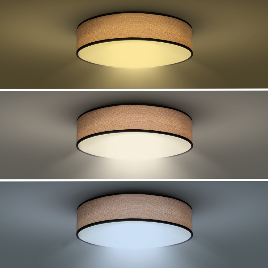 LED Regulowane oświetlenie sufitowe BROWNIE LED/60W/230V 3000-6500K brązowe śr. 50 cm + pilot do zdalnego sterowania