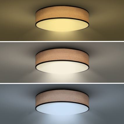 LED Plafon ściemnialny BROWNIE LED/60W/230V 3000-6500K brązowy śr. 50 cm + pilot zdalnego sterowania