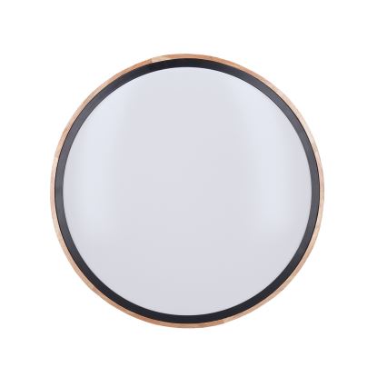 LED Regulowane oświetlenie sufitowe IRON OAK LED/48W/230V 3000-6500K dąb śr. 40 cm + pilot do zdalnego sterowania