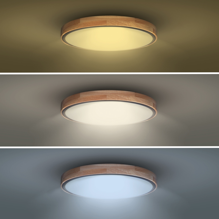 LED ściemnialna oprawa sufitowa IRON OAK LED/48W/230V 3000-6500K dąb śr. 40 cm + pilot zdalnego sterowania