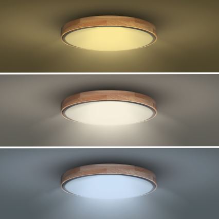 LED Plafon ściemnialny IRON OAK LED/48W/230V 3000-6500K dąb śr. 40 cm + pilot zdalnego sterowania
