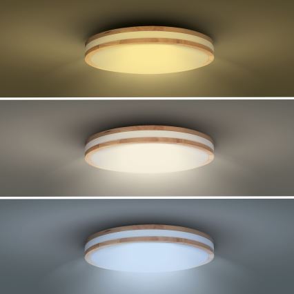 LED Plafon ściemnialny WOODY LED/60W/230V 3000-6500K dąb śr. 50 cm + pilot zdalnego sterowania
