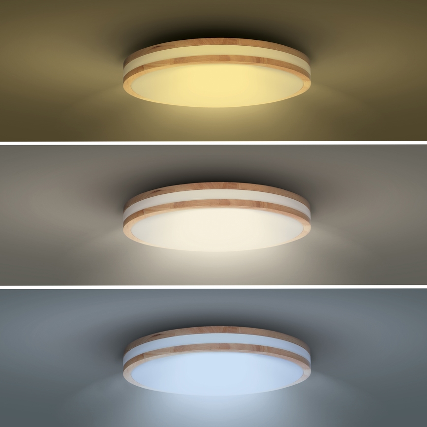 LED Plafon ściemnialny WOODY LED/60W/230V 3000-6500K dąb śr. 50 cm + pilot zdalnego sterowania