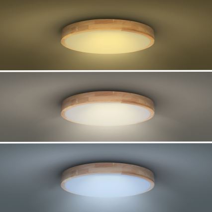 LED Plafon ściemnialny SOLID OAK LED/60W/230V 3000-6500K dąb śr. 51 cm + pilot zdalnego sterowania