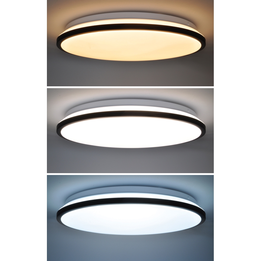 LED Plafon ściemnialny JAMIL LED/48W/230V 3000-6500K czarny + zdalne sterowanie
