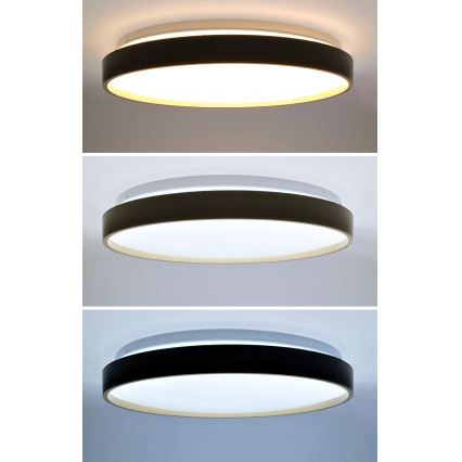 LED Plafon ściemnialny CALA LED/48W/230V 3000-6500K czarny/złoty + zdalne sterowanie