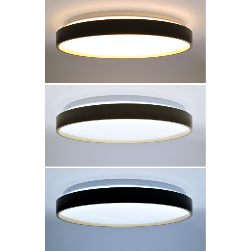 LED Plafon ściemnialny CALA LED/48W/230V 3000-6500K czarny/złoty + zdalne sterowanie