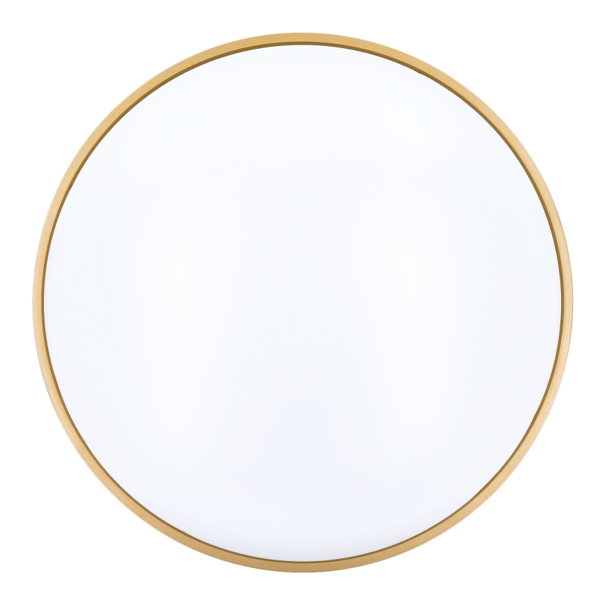 LED Plafon ściemnialny CALA LED/48W/230V 3000-6500K czarny/złoty + zdalne sterowanie