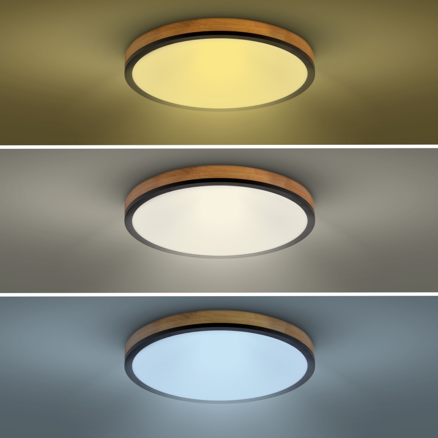 LED Plafon ściemnialny LED/40W/230V 3000-6500K dąb + pilot zdalnego sterowania