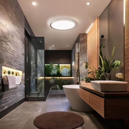 Plafon łazienkowy LED ACATE/24W/230V 3000/4000/6000K Ø 29,3 cm IP54