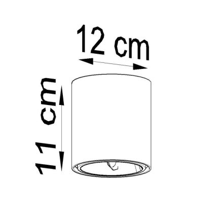 Oświetlenie punktowe TIUBE 1xGU10-AR111/10W/230V