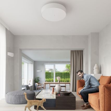 Lampa sufitowa SKALA 3xE27/60W/230V śr. 30 cm biała