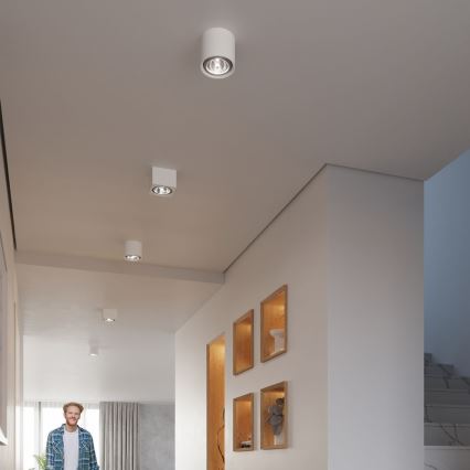 Oprawa punktowa KALU 1xGU10/ES111/40W/230V