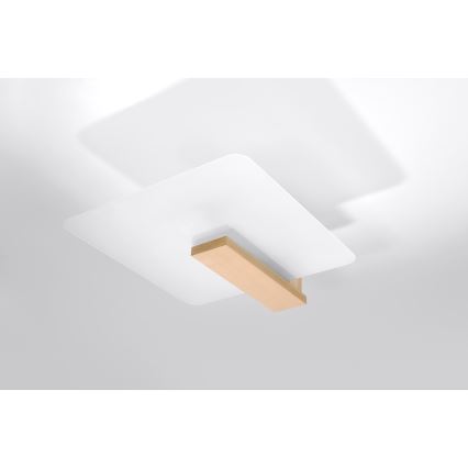 Lampa sufitowa LAPPO 2xE27/15W/230V beżowa