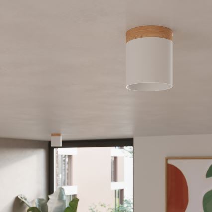 Oświetlenie punktowe RIF 1xGU10/10W/230V śr. 12 cm białe