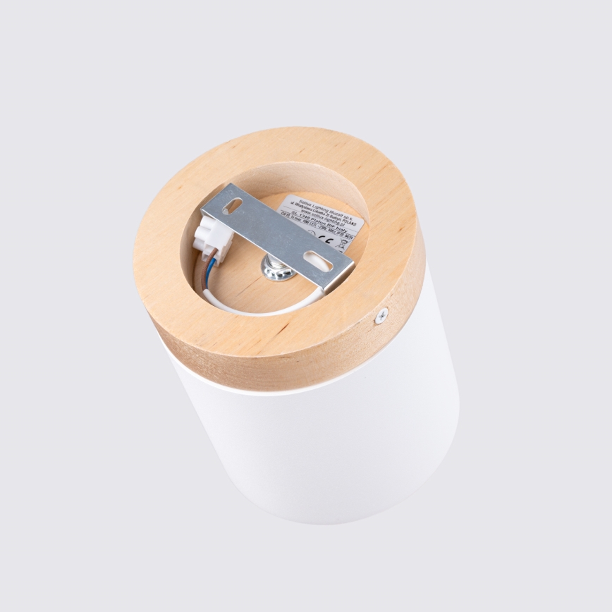 Oświetlenie punktowe RIF 1xGU10/10W/230V śr. 12 cm białe
