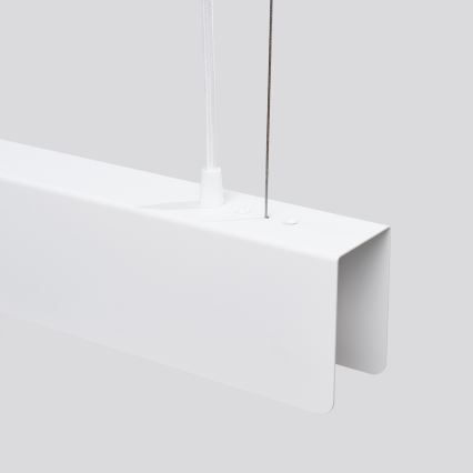 LED Żyrandol na lince SPARK 1xG13/8,5W/230V biały