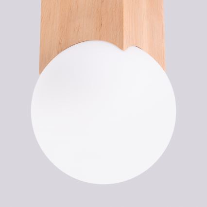Oświetlenie punktowe SOLIS 1xG9/8W/230V buk