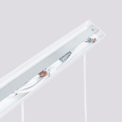 Żyrandol na lince KARBON 3xGU10/10W/230V biały
