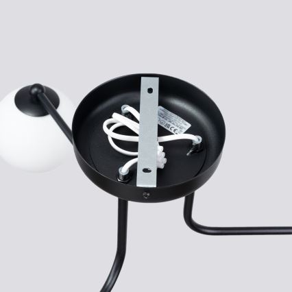 Żyrandol na drążku ASTRAL 3xG9/8W/230V czarny