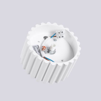 Oprawa punktowa AURA 1xGX53/10W/230V 6 cm biała