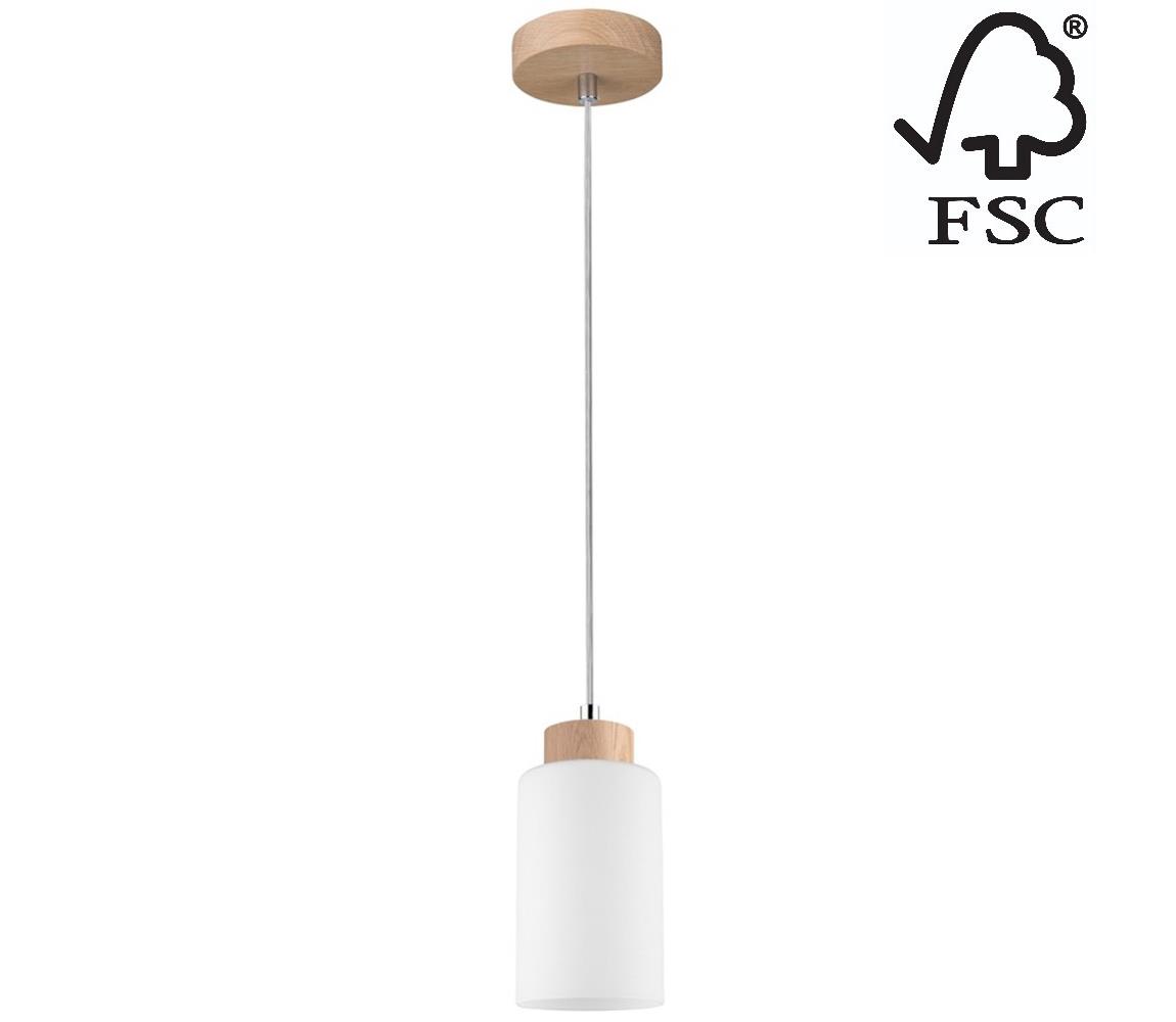 1720174 - Żyrandol na lince BOSCO 1xE27/60W/230V
