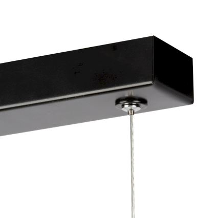 LED Żyrandol ściemnialny na lince LUCAS LED/25,5W/230V sosna